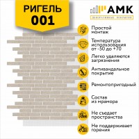 АМК Ригель 001