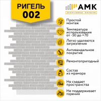 АМК Ригель 002