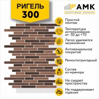 АМК Ригель 300