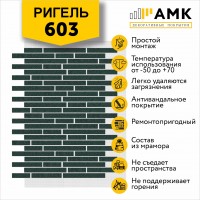 АМК Ригель 603