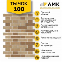 АМК Тычок 100